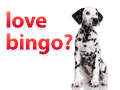 Love Bingo? Play at Bingo