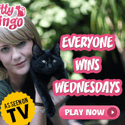 Everyone wins on Wednesdays